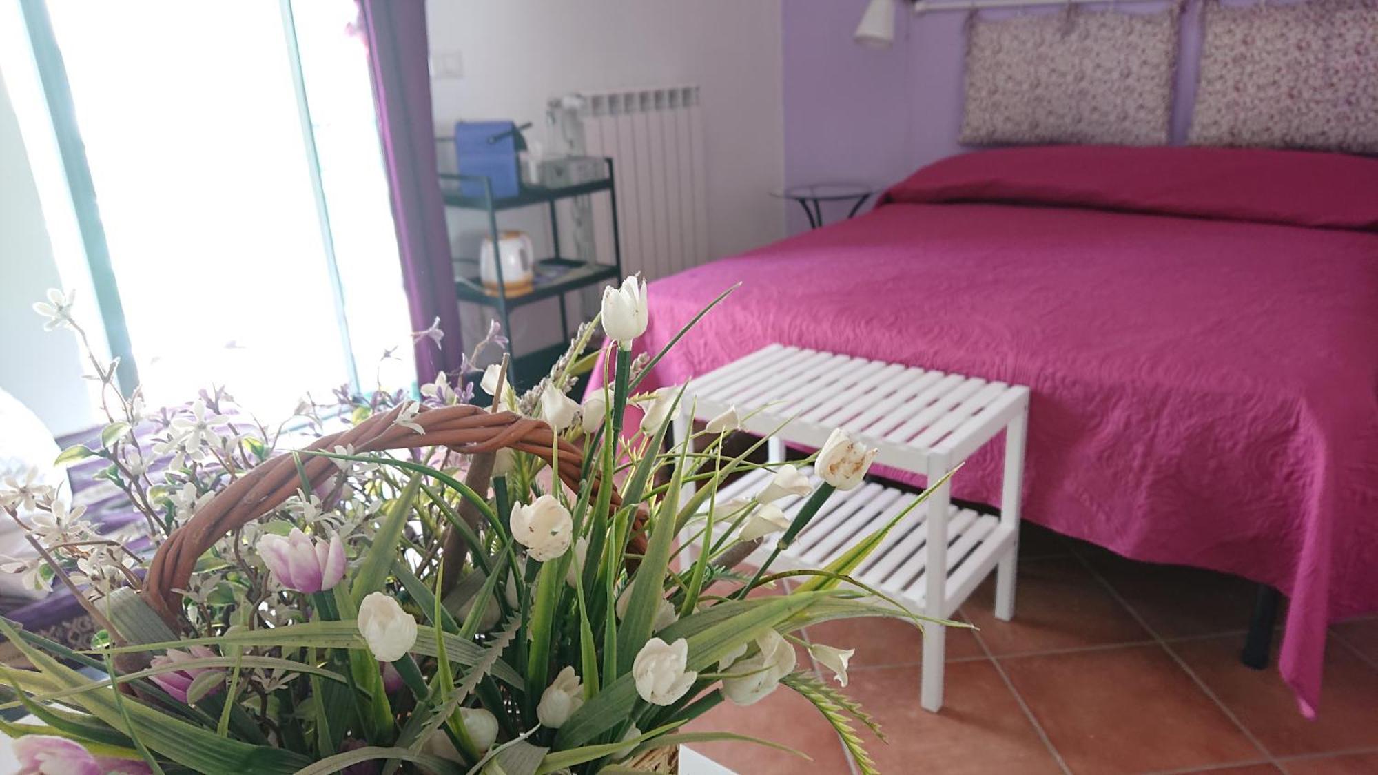 Country house Il Gelso *