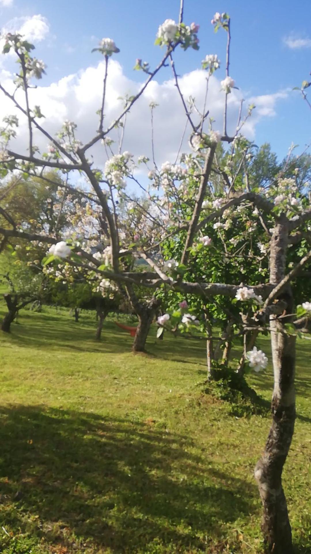 Il Gelso Country house Trivigno