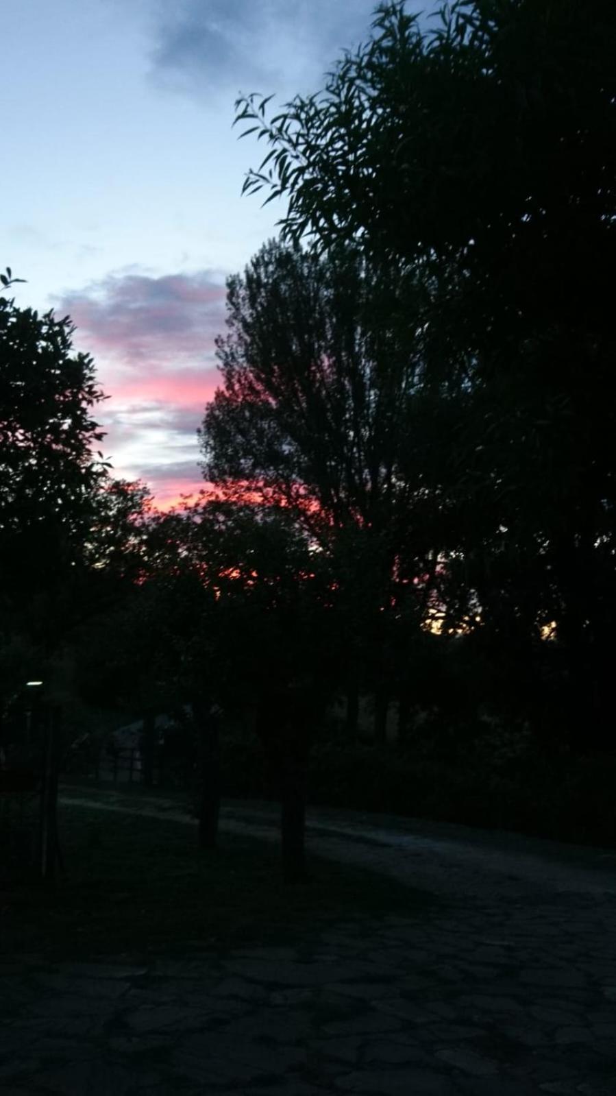 Il Gelso * Trivigno