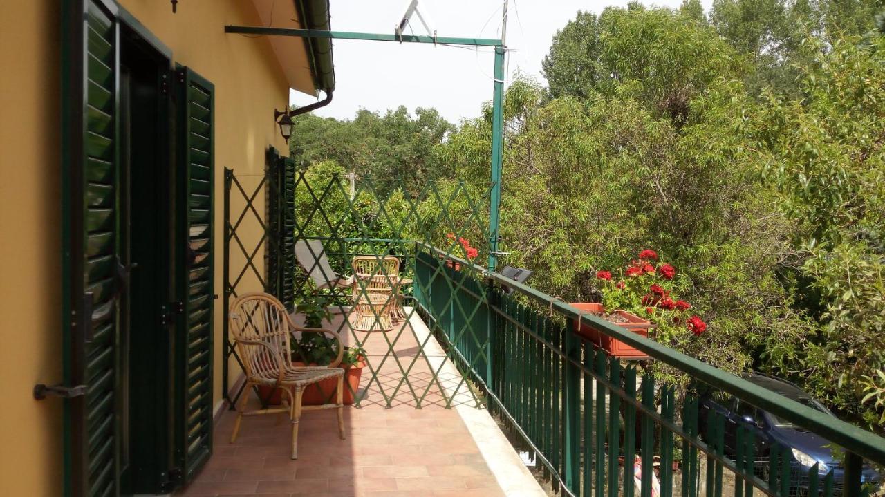 Country house Il Gelso *